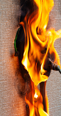 italiana assicurazioni enna - verticali